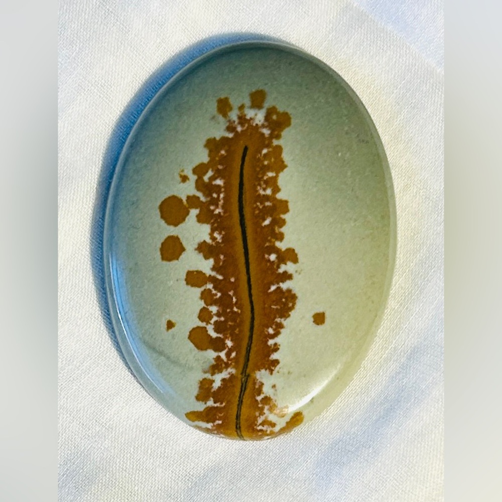 Owyhee Oregon Mountain Picture Jasper Cabochon Oval 52x37x6mm (2” x 1.5”) 20g